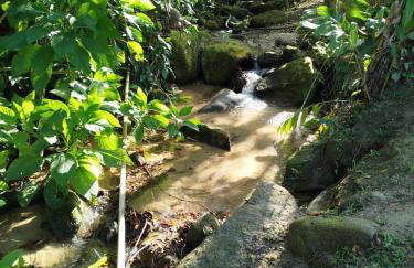 Canto dos Pássaros, Sana - Photo 27