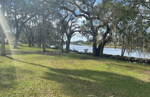 Chic pad in center of Seminole Heights-322 - Foto 4