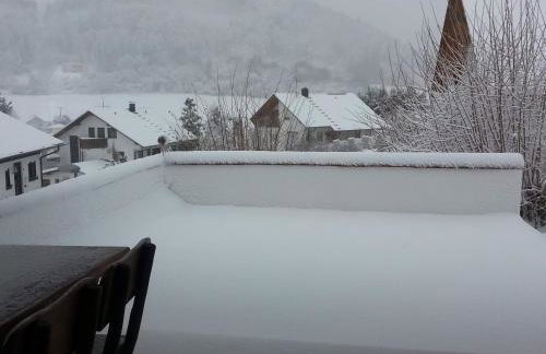 Mayntz' Albjuwel - Foto 11