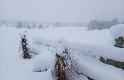 Ferienwohnung Waldlichtung - Foto 24