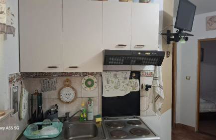 Apartmani Kunjasic - Foto 4