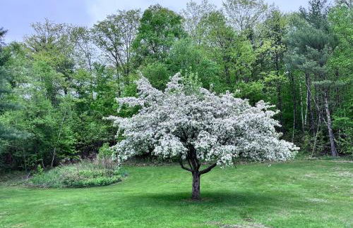 Cozy Retreat with Private Backyard Oasis - Foto 16