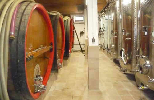 Vignobles Frey-Sohler - Foto 30