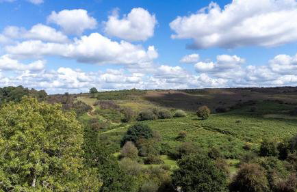 The Lookout - Foto 20