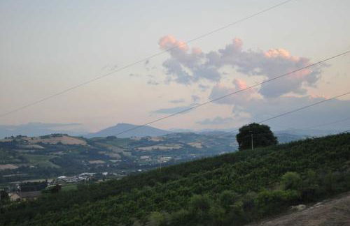 Agriturismo MonteMaggio - Foto 38