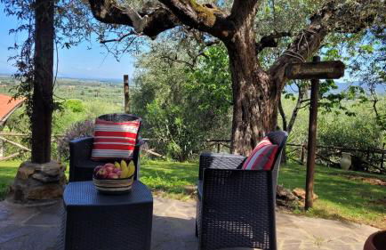 Agriturismo Villa Carducci - Foto 6