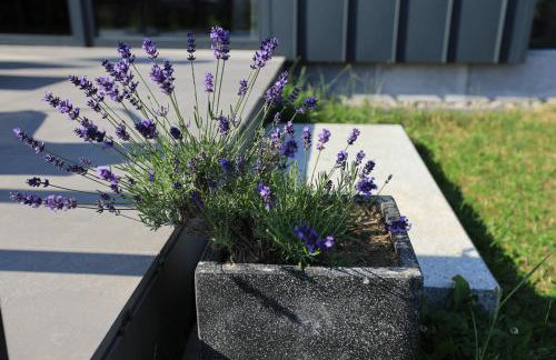 Stodoła 55 - Foto 69