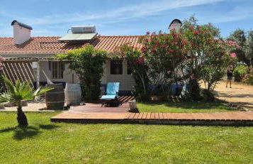 Monte das Aranhas - Foto 13