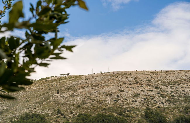 Apartment Jelena - Foto 27