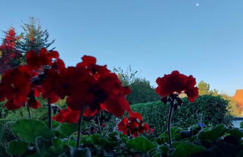 Klosterblick - Foto 35