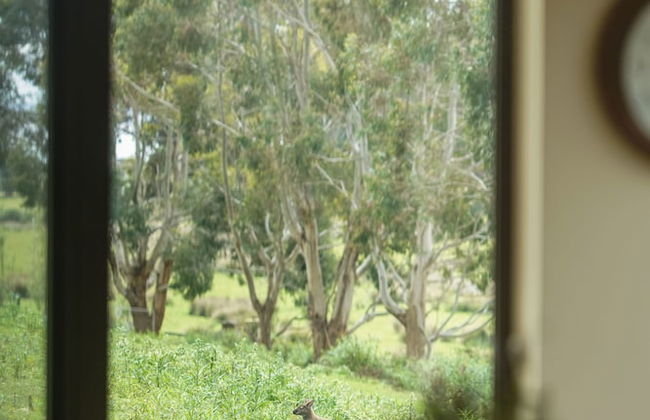 Adventure Bay Retreat - Foto 43