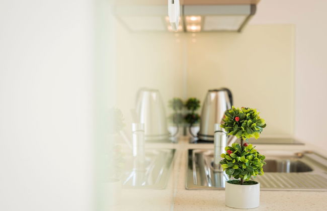 Panorama Plus - Foto 40