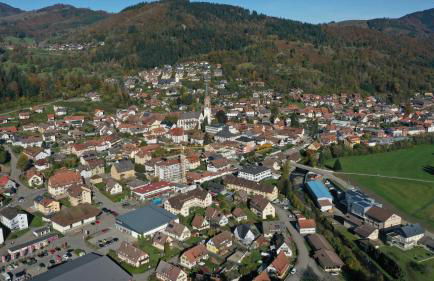 Ferienwohnung Belchenliebe - Foto 29