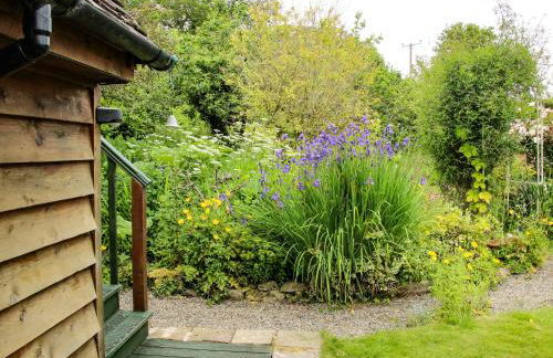 Milford Tree Tops - Foto 20