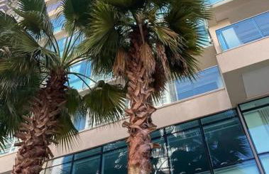 Apto com sacada - JH Palhano - Foto 22