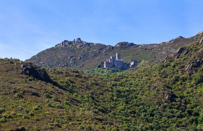 La Rectoria - Foto 14