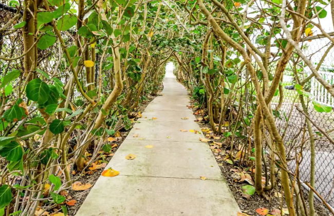 Isla Palma Singer Island - Foto 51