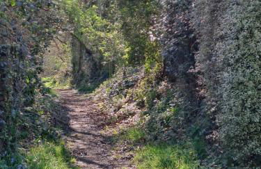 Penty La Houssaye - Photo 28