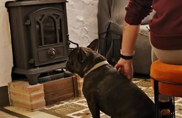 Casa Las Tinajas - Foto 46