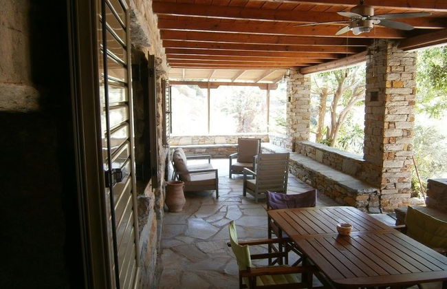 Elea Koundouros - Photo 15