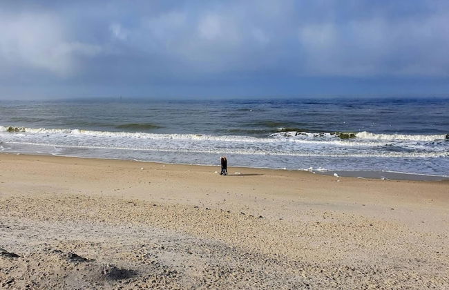 Apartment in Westerland - Foto 80