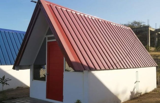 Live N Love - Photo 1