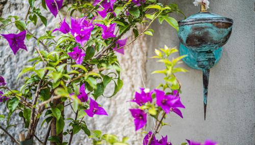 Nera Etwa House - Foto 3, Garden