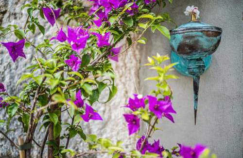 Nera Etwa House - Photo 3