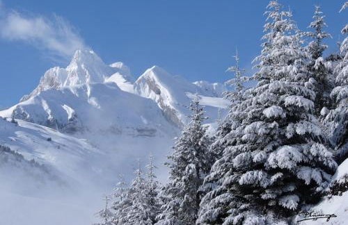 Residencial La Moleta - Photo 17