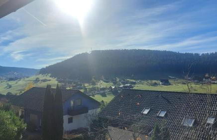 Haus Wiedenberg - Foto 4