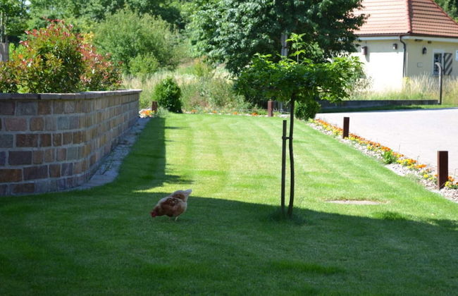 Vakantiewoning in Zwarte Woud - Foto 16