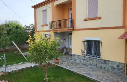 Αυλή της Ελιάς - Foto 2