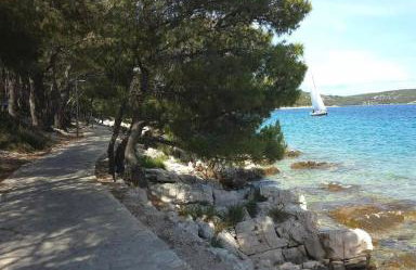 Vila Regina Apartment Rex with Swimming Pool - Photo 5