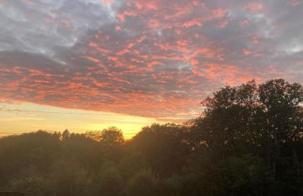 Le Gîte au bord de la Forêt - Foto 35
