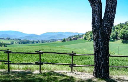 Villa La Topaia in Esclusiva - Foto 109