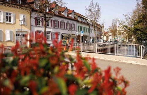 Ferienwohnung Schwarzwaldnest 1- black forest nest 1, barrierearm, zentral und ruhig - Foto 21