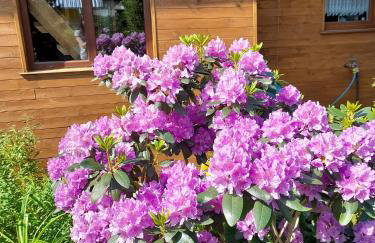 DOMEK Łapalice Kaszuby - Foto 11