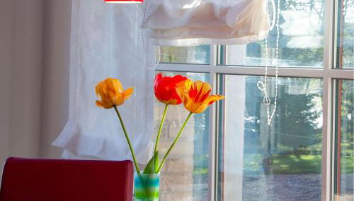 Eisvogel - Ihr Rückzugsort am Loppiner See - Foto 5