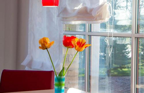 Eisvogel - Ihr Rückzugsort am Loppiner See - Foto 5