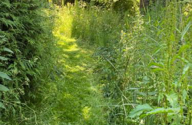 Oyster Barn sleeps six, North Norfolk - Foto 52
