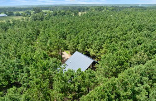 The Beary Top - Foto 74