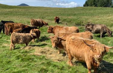 Traditional 2 bed croft - Foto 28