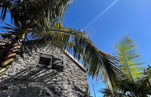 As Casinhas da Madeira - Cosy Stone Cottage in a subtropical garden - Foto 9