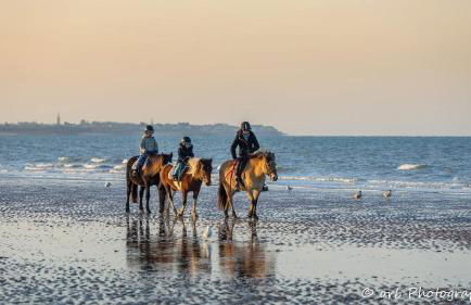 Idéal couple ! Le Nid du Bourg - Proche plage et commerces - serviettes de toilette & linge de lit compris - Photo 15