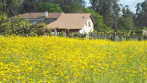 Tour in Tui - Foto 5