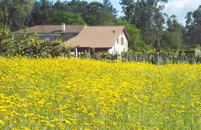 Visite de la cave Corisca - Photo 5
