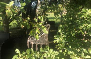 Wohnpension Litzkendorf - Foto 15