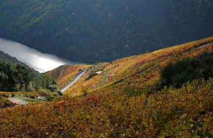 Casa do Conto - Foto 7