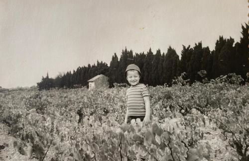 Mas de la Cadenière - Foto 56