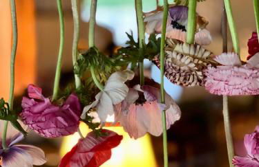 Il Felcino - Photo 55